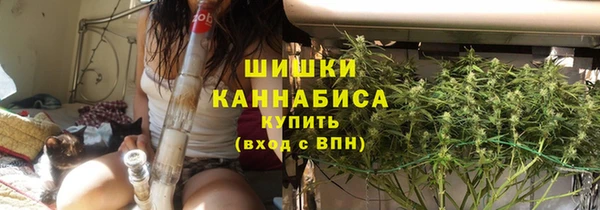 молекула духа Семёнов